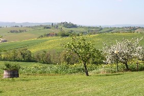 14 Novembre 2010 - Giornata del Ringraziamento